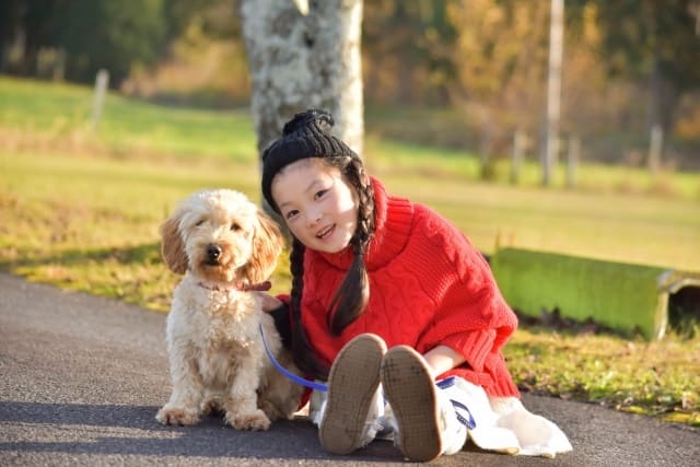 動物と触れ合える仕事はたくさんある